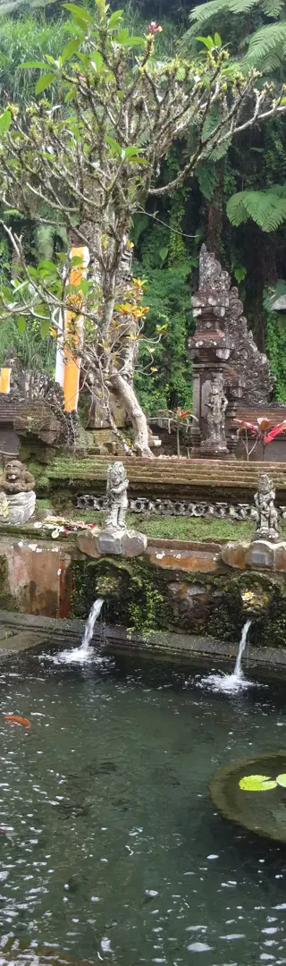 Bali - Ubud